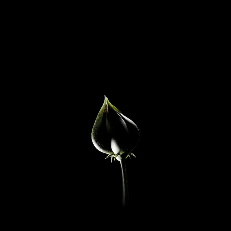Think